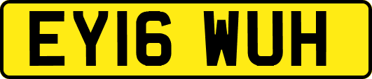 EY16WUH
