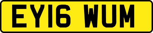 EY16WUM