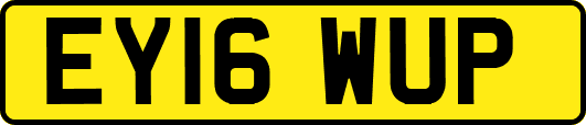 EY16WUP