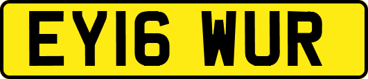 EY16WUR