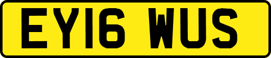 EY16WUS