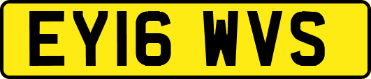 EY16WVS