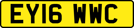 EY16WWC