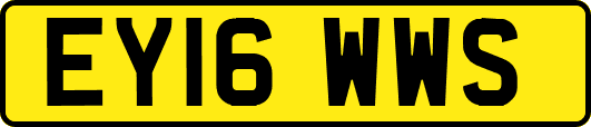EY16WWS