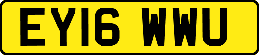 EY16WWU