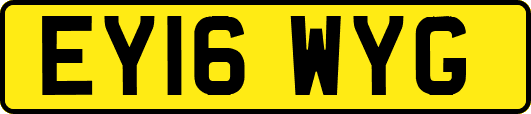 EY16WYG