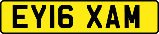EY16XAM