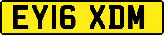 EY16XDM