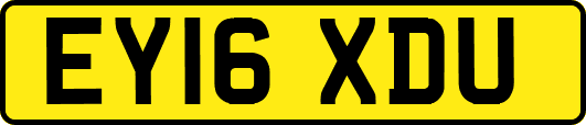 EY16XDU