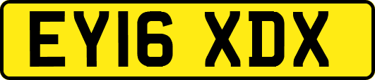 EY16XDX