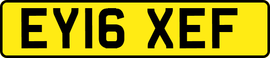 EY16XEF