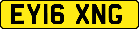 EY16XNG