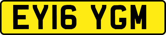 EY16YGM