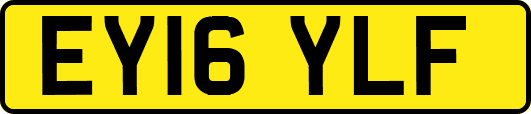 EY16YLF