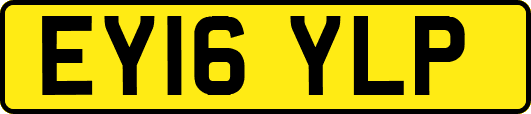 EY16YLP