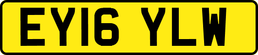 EY16YLW