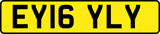EY16YLY