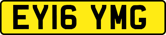 EY16YMG