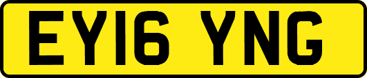 EY16YNG