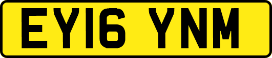 EY16YNM