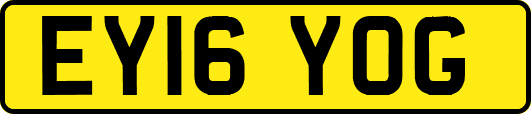 EY16YOG