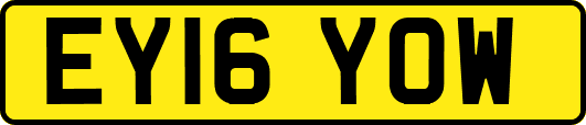 EY16YOW