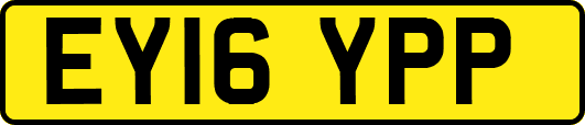 EY16YPP