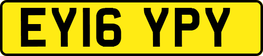 EY16YPY