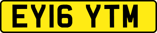 EY16YTM