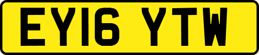 EY16YTW
