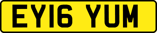 EY16YUM