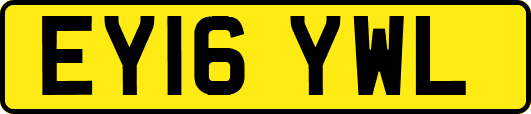 EY16YWL