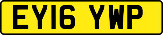 EY16YWP