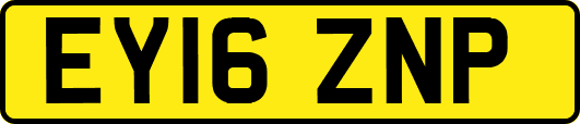 EY16ZNP