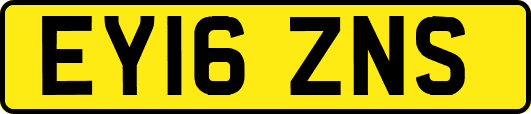 EY16ZNS
