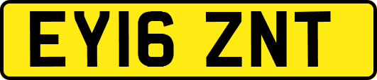 EY16ZNT