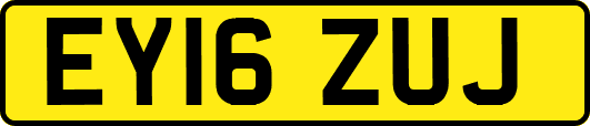 EY16ZUJ