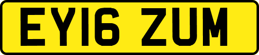 EY16ZUM