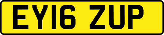 EY16ZUP
