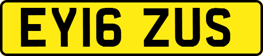 EY16ZUS