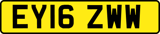 EY16ZWW