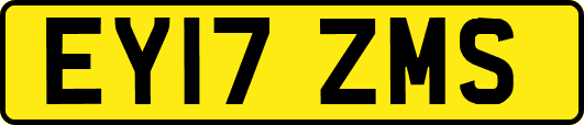 EY17ZMS