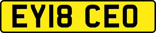 EY18CEO