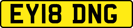 EY18DNG