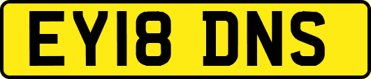 EY18DNS