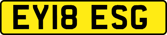 EY18ESG