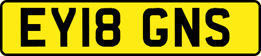 EY18GNS