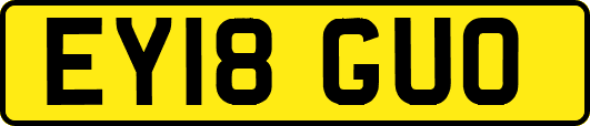 EY18GUO