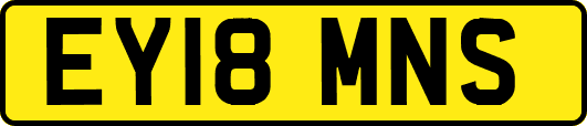 EY18MNS