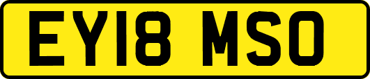 EY18MSO